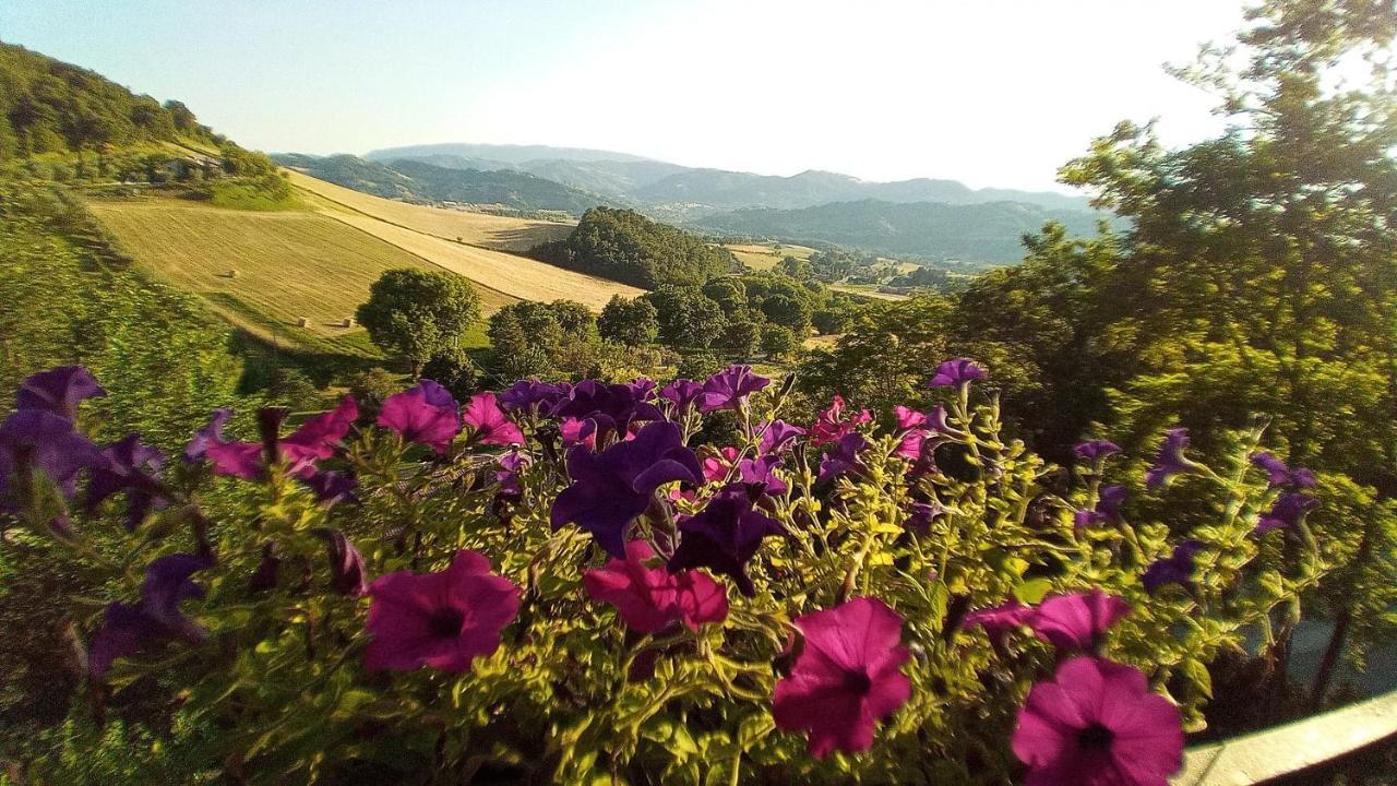 Agriturismo Le Francesche Villa Nocera Umbra Exterior photo
